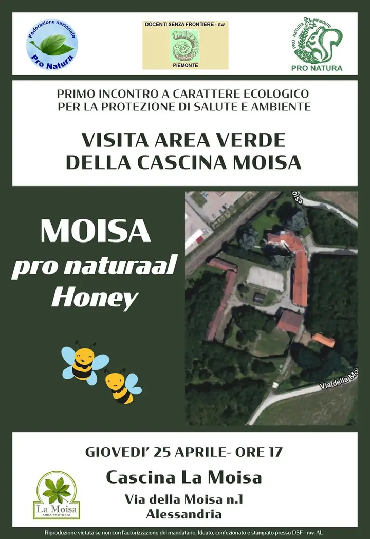 Moisa Pro Naturaal Honey